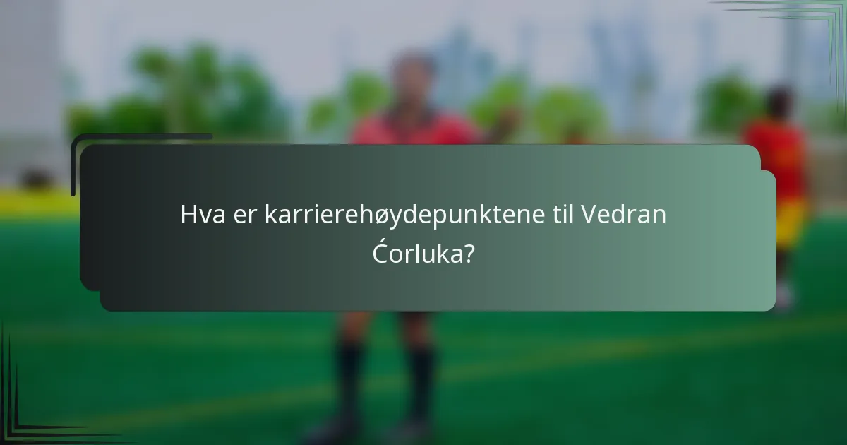 Hva er karrierehøydepunktene til Vedran Ćorluka?