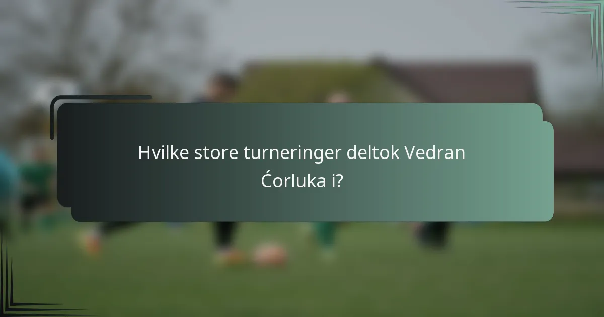 Hvilke store turneringer deltok Vedran Ćorluka i?