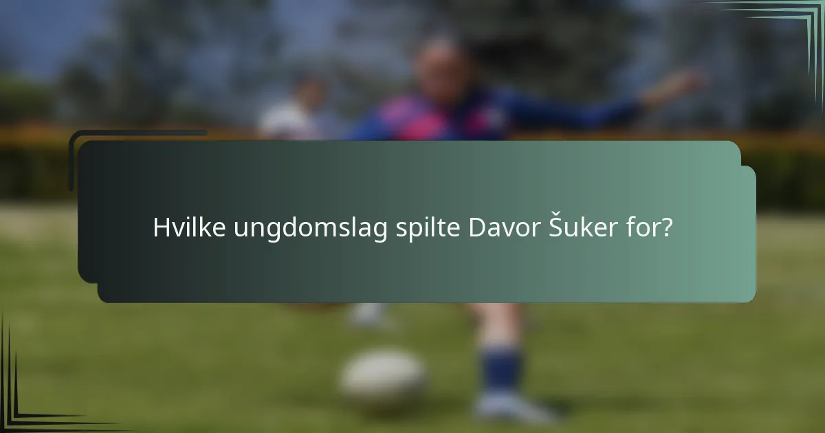 Hvilke ungdomslag spilte Davor Šuker for?